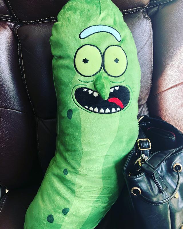 giant pickle rick pillow