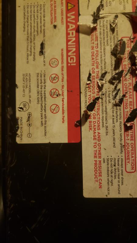 Review photo 5.
