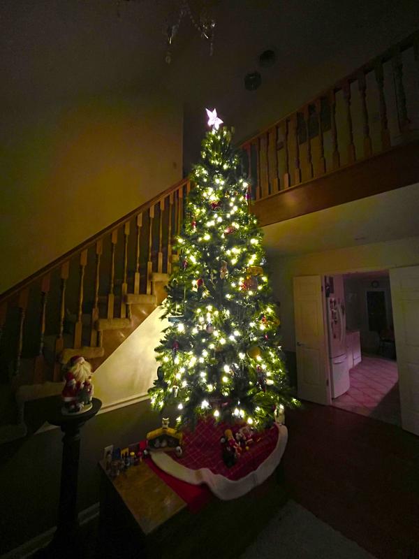 Slim Brittany Pine Pre-Lit Christmas Tree - 9 ft | Hobby Lobby