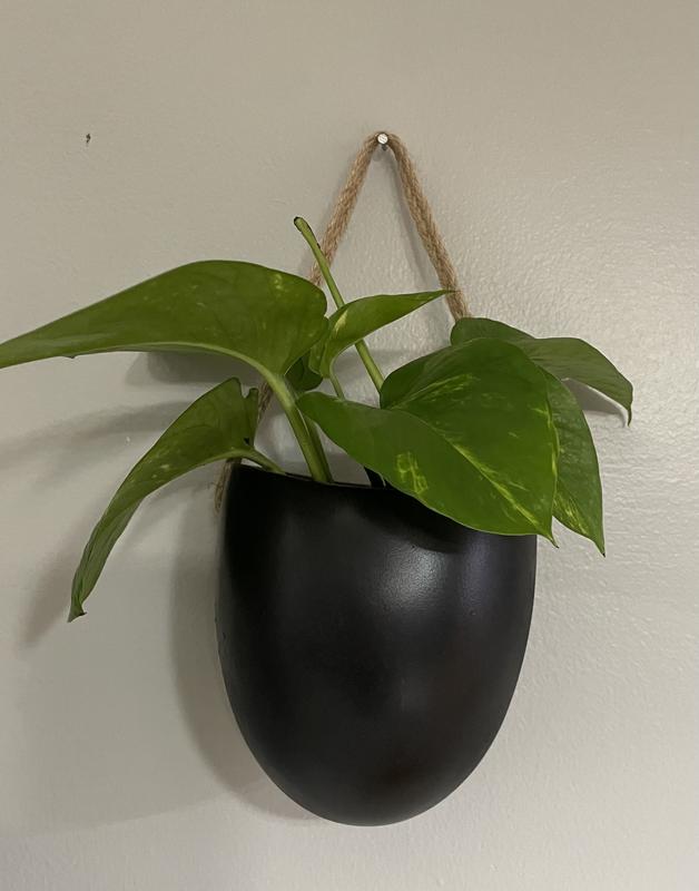 White Egg Wall Flower Pot | Hobby Lobby | 1733963