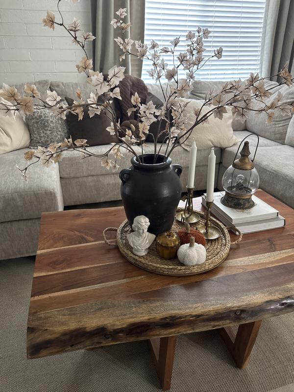 Black Two-Handle Terracotta Vase | Hobby Lobby | 2305670