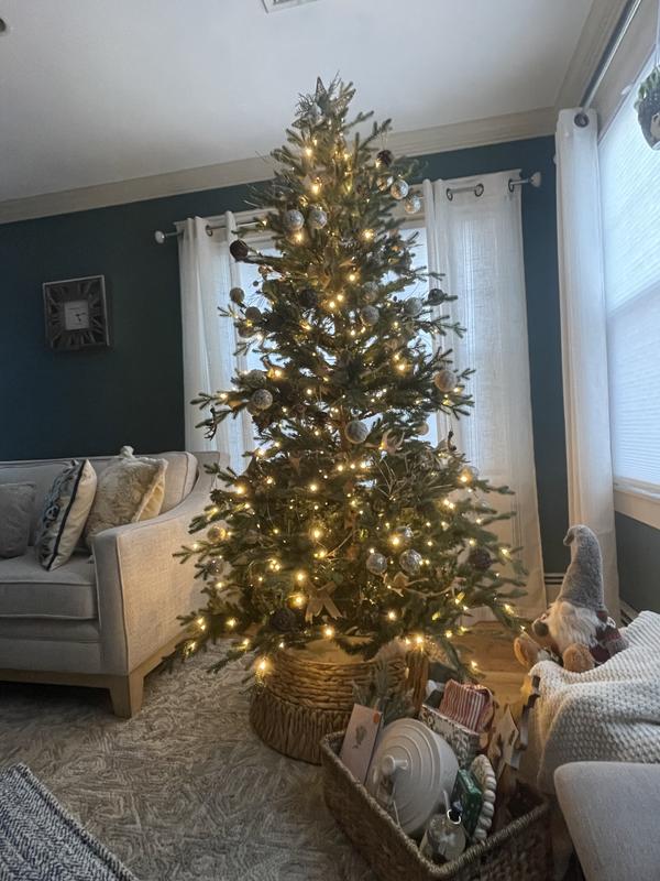 Alberta Alpine Fir Pre-Lit Christmas Tree - 7 ft | Hobby Lobby