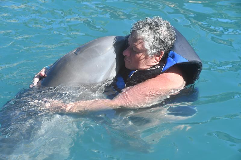 Dolphin Swim & Ocean World Day Pass