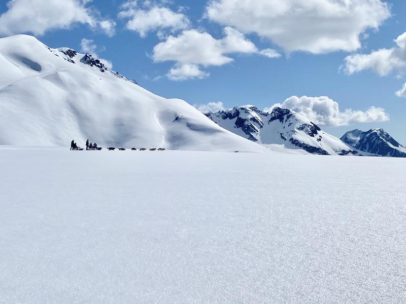 Glacier Sled Dog Experience by Helicopter