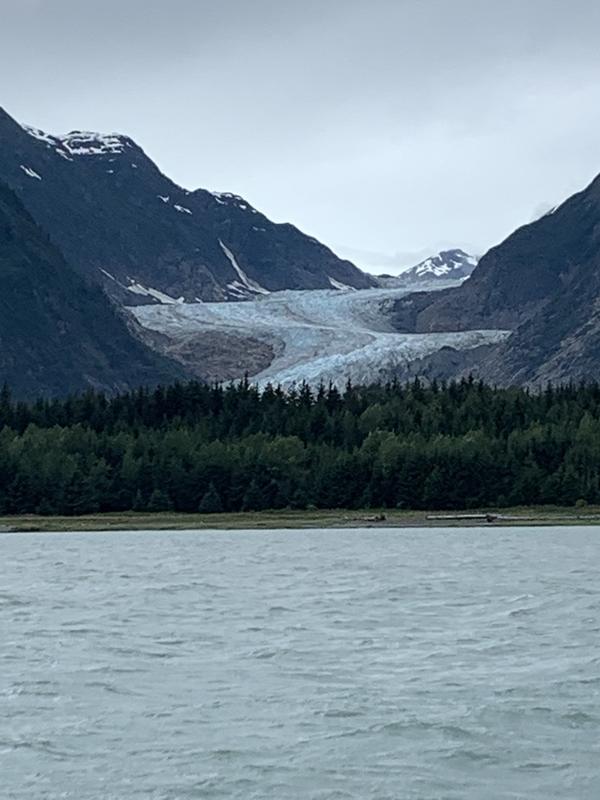 Glacier Point Wilderness Safari • Alaska Shore Tours