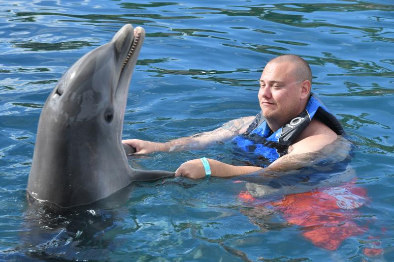 Dolphin Swim & Ocean World Day Pass