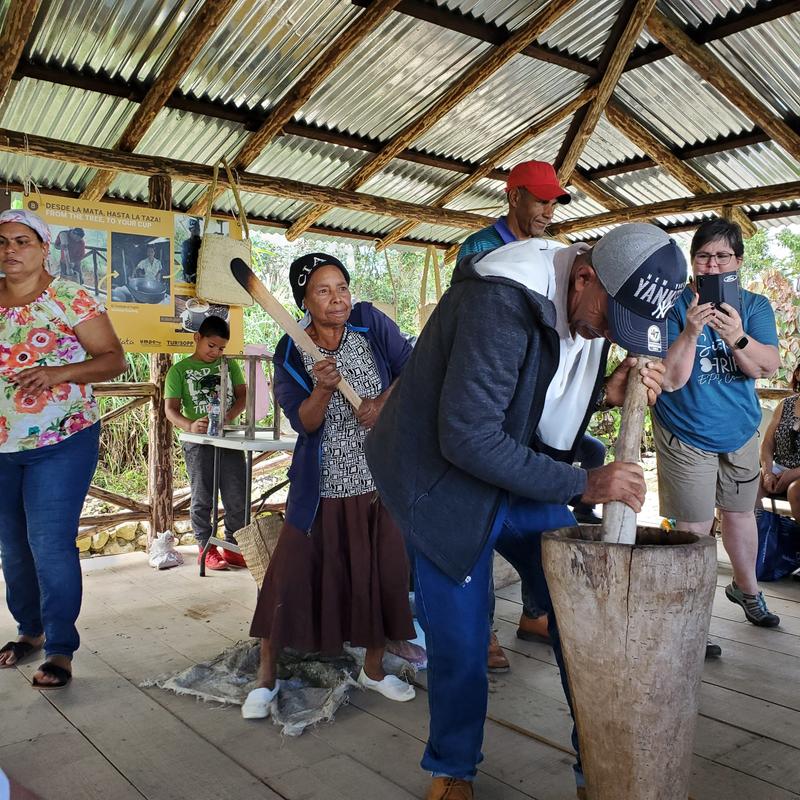 hands on sustainable dominican coffee experience｜TikTok Search