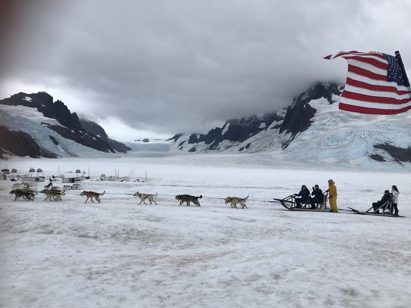 Dog Sledding on Mendenhall Glacier by Helicopter Cruise Tour