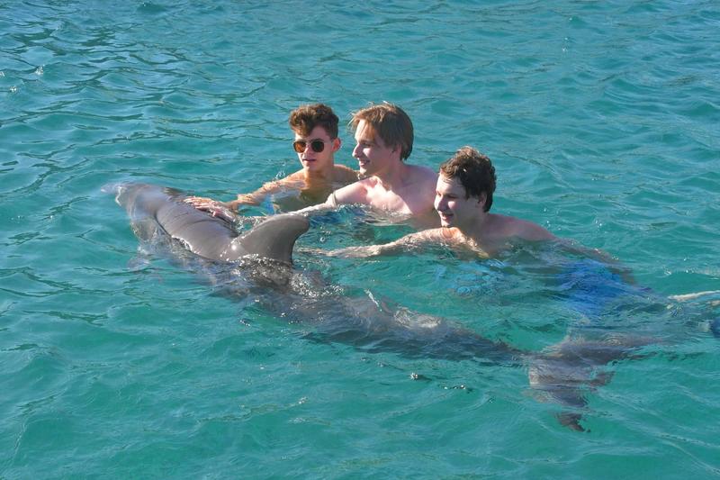 Swimming with Dolphins in Curaçao – Curacao Activities