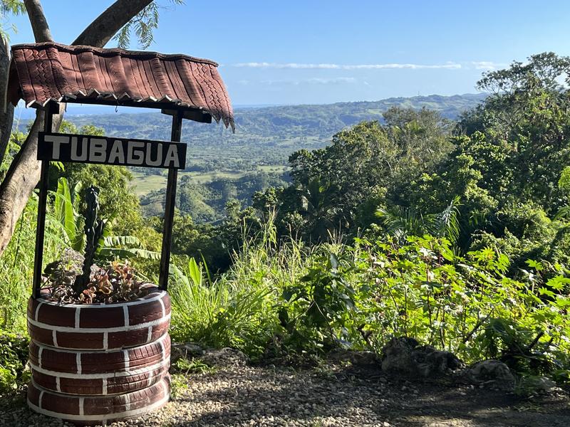 hands on sustainable dominican coffee experience｜TikTok Search