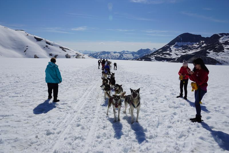 Skagway Glacier Helicopter Tour