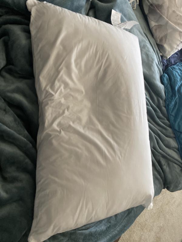 Ecosmart us smart pillow sale