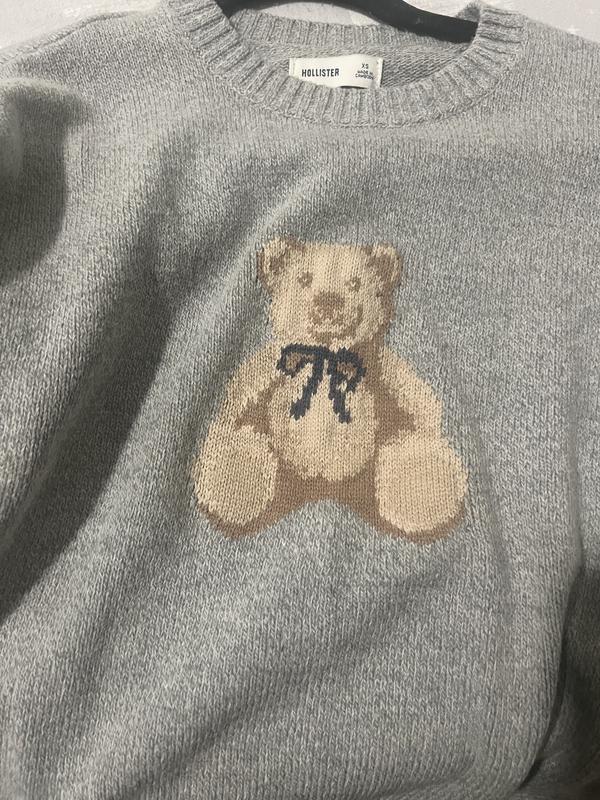 Hollister teddy store