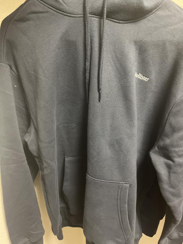 Hollister reflective hoodie sale
