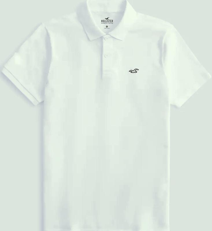 Polo on sale hollister uomo