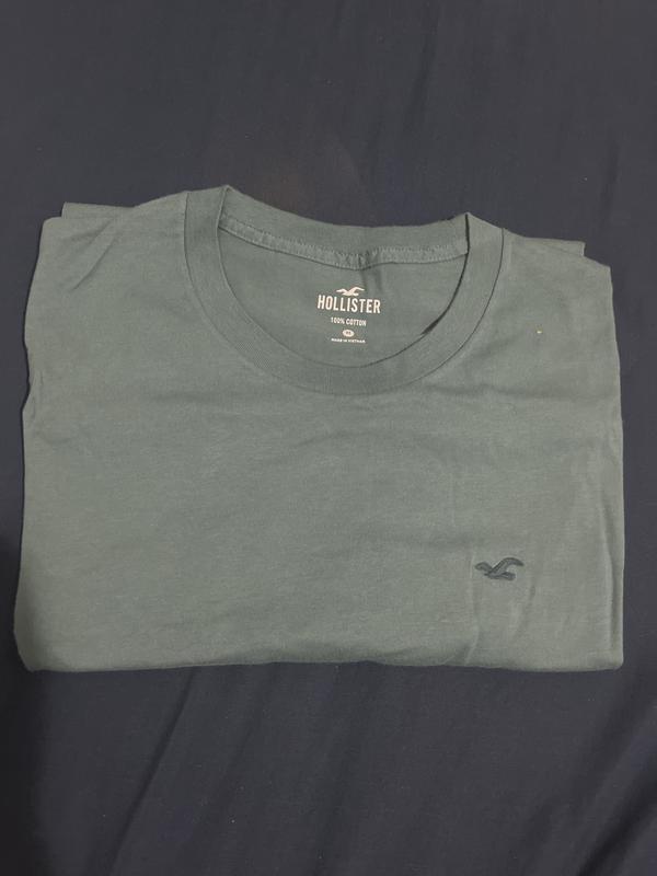 Camisetas chico hollister hotsell