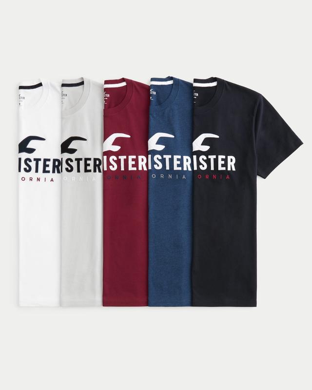 Hollister Mens Graphic T-shirt