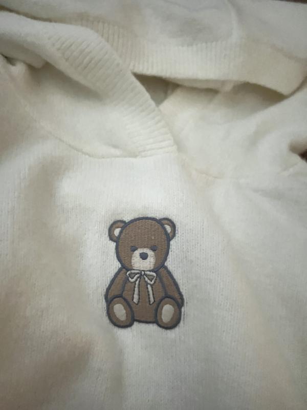 Hollister bear hoodie sale