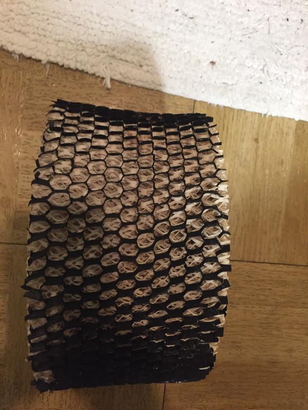 Outside of old filter