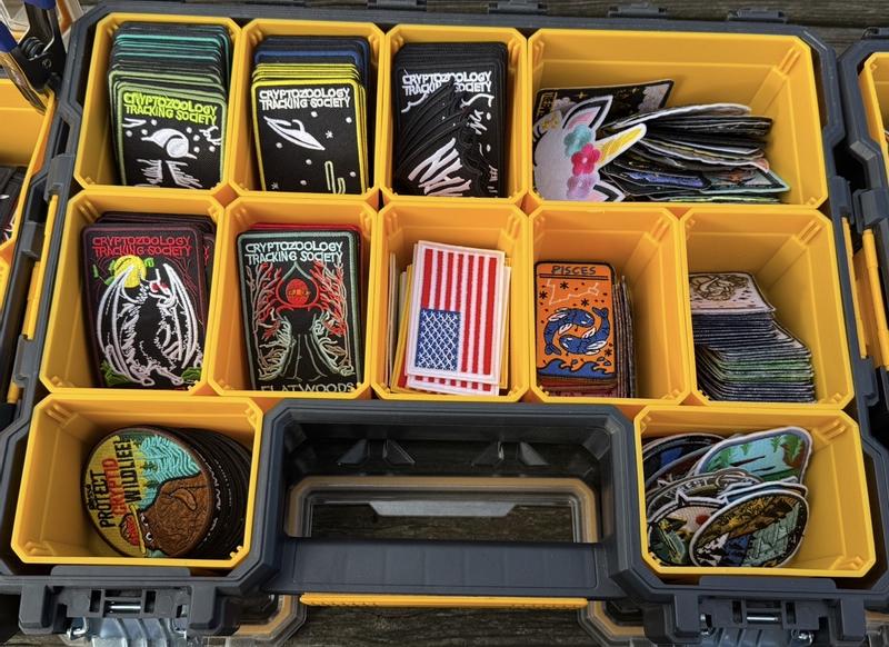 DEWALT Plastic 10-Compartment Pro Small Parts Organizer DWST14835