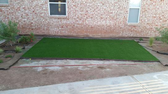 GREENLINE ARTIFICIAL GRASS Sapphire 50 Fescue 15 ft. Wide x Cut to