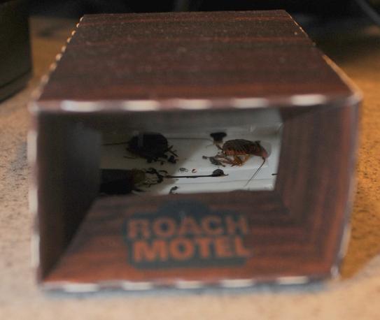 Black Flag Roach Motels – 4 Pack Cockroach Bug Killer Glue Traps, Spider Motel 11020