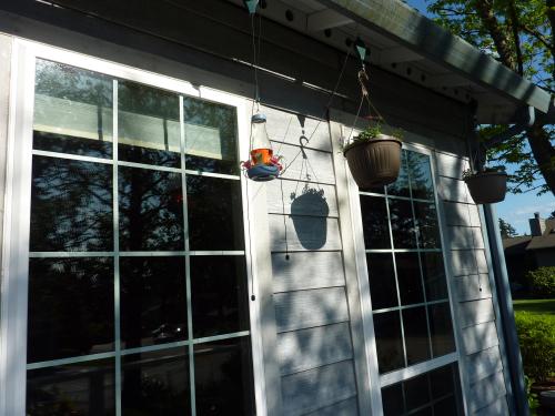 Reviews for Riverstone Pulley System for Hanging Plants and Bird