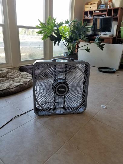 Lasko Power Plus 20 in. 3 Speed Box Fan for Home in Gray with
