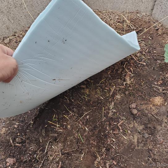 FUTURE FOAM Prime Comfort 1/2 inc. Thick Premium Carpet Pad with