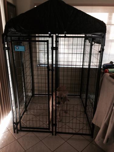 American Kennel Club Uptown Premium Kennel 2025