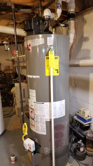 Rheem Performance 50 Gal. Tall 6 Year 42,000 BTU Natural Gas Power Vent ...