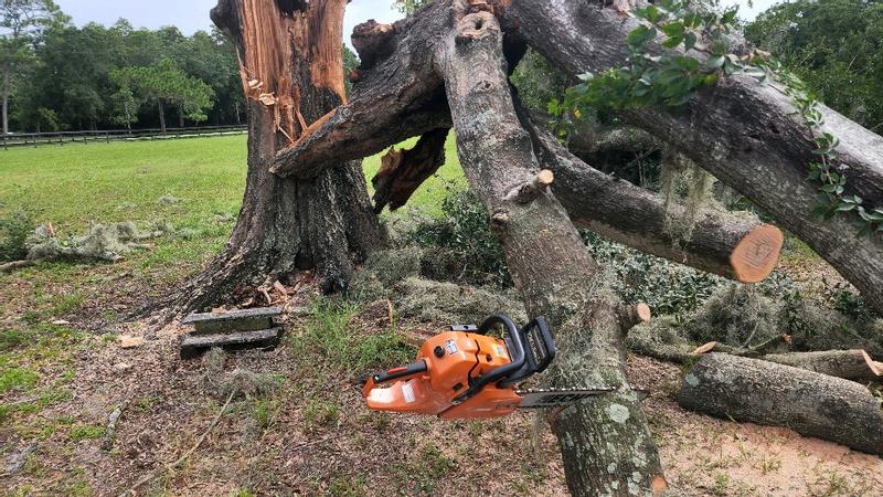 Reviews for ECHO 24 in. 59.8 cc Gas 2-Stroke Rear Handle Timber