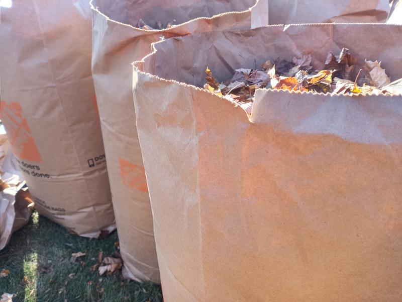 Where can I get paper bags for my yard waste in Charlotte?