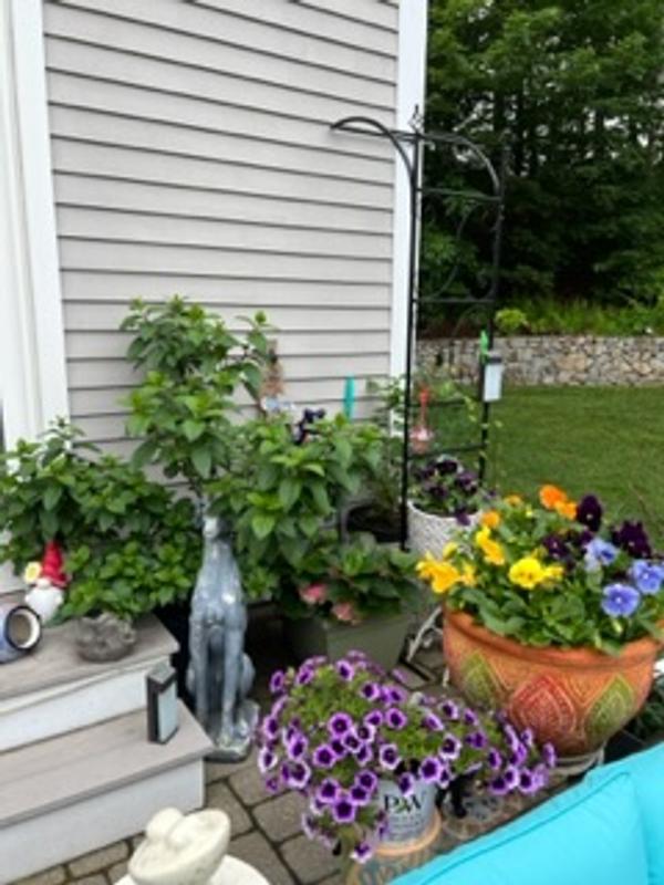 Outsunny 85 in. Decorative Garden Trellis with 2 Latched Swinging