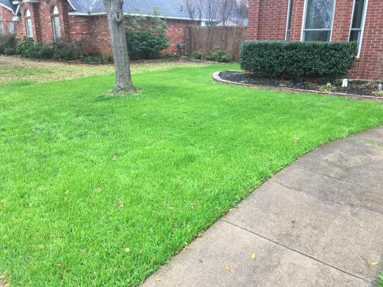 Pennington 50 lb. Annual Ryegrass Grass Seed 100082644 at The Home ...