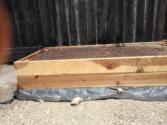 Mendocino Forest Products 2 in. x 6 in. x 12 ft. Construction
