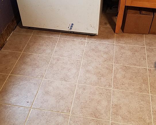 Daltile Catalina Canyon Noce 12 in. x 12 in. Porcelain Floor and Wall Tile (15 sq. ft. / Case) Daltile Catalina Canyon Noce 12 in. x 12 in. Porcelain Floor and Wall Tile (15 sq. ft. / Case)