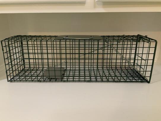 HOMESTEAD Fold-Flat Live Animal Trap - 14"x7"x8" Steel Cage For Humane Catch & Release Of Rodents