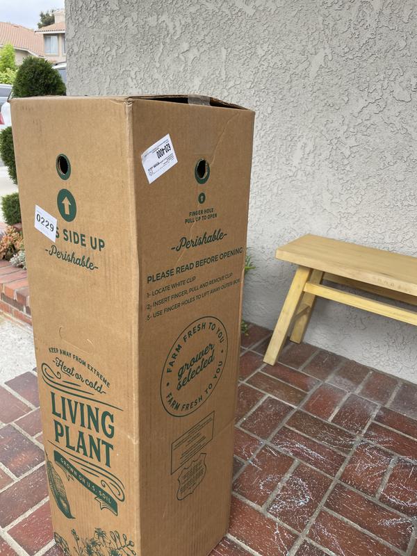 Have a question about United Nursery Live ZZ Plant Low Maintenance