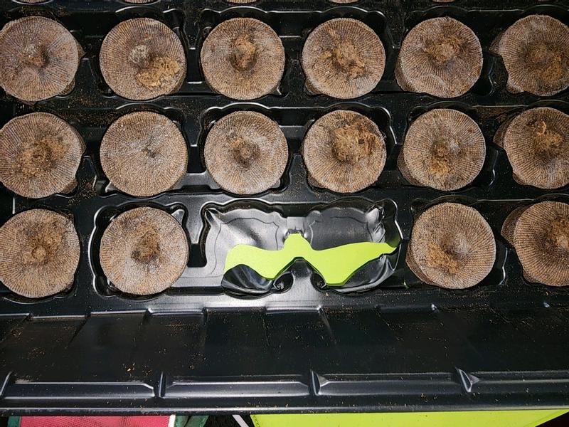 Have a question about Jiffy 72 Peat Pellet Pro Seed Starting