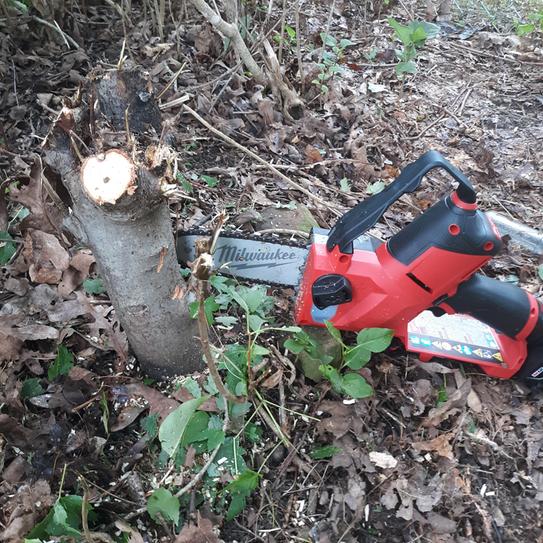 Milwaukee M12 FUEL 8 in. 12V Lithium-Ion Brushless Cordless Hedge
