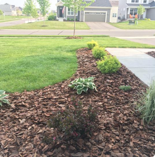 Rustic Premium Pine Bark Mulch