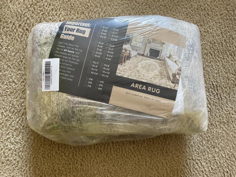 HaiiMeid Shka Beige 3 ft. x 5 ft. Modern Abstract Area Rug