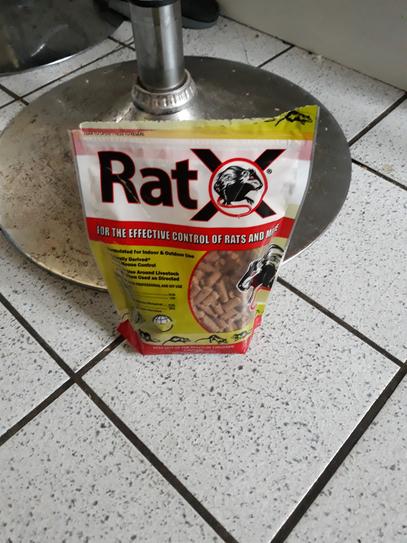 Heavy-Duty Rodent Bait Station (4-Pack)