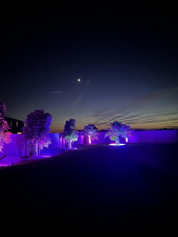  spotlight vivy ブラックダイヤモンド spotlight vivy ブラックダイヤモンド Black diamond spotlight vivy