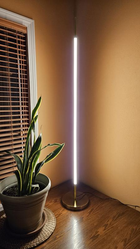 Hampton Bay Calero 50 in. Brushed Gold Straight Arc Floor Lamp LED