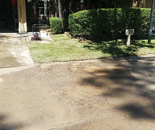 harmony-500-sq-ft-st-augustine-sod-1-pallet-hh500sa1-at-the-home