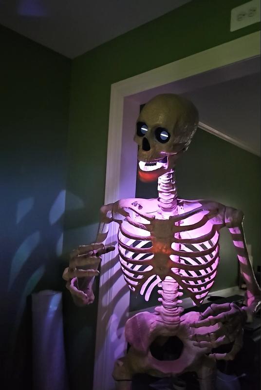 Home Accents Holiday 6.5 FT Grave & Bones Animated LED App