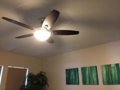 Hunter Contempo 52 In Indoor Brushed Nickel Ceiling Fan With