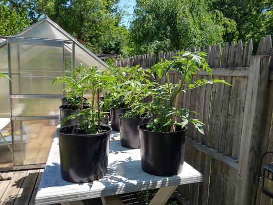 Hydroponics Organic 5 Gal. Nursery Trade Pots (4.02 Gal / 15.19 l) 10-Pack  VHPP500-10 - The Home Depot